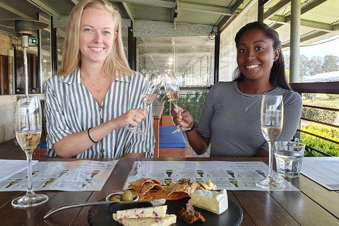 Hunter Valley Exclusive Kangaroo And Wine Tasting Experience - Taree Accommodation 7