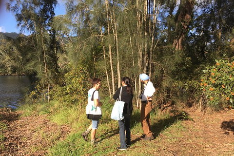 Fishermans Paradise Eco-walk - Taree Accommodation 1