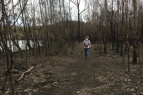 Fishermans Paradise Eco-walk - Taree Accommodation 5