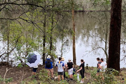 Fishermans Paradise Eco-walk - Taree Accommodation 2