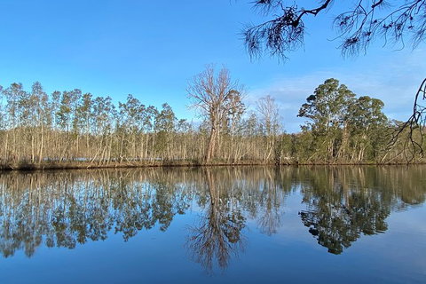 Fishermans Paradise Eco-walk - Taree Accommodation 4