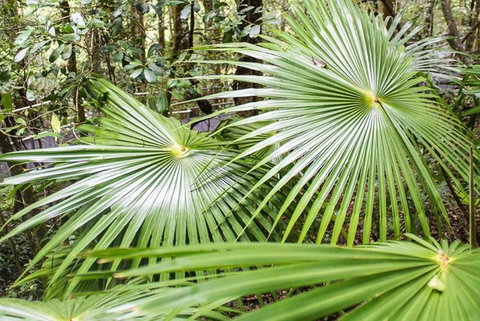 Full-Day Kiama Coast And The Royal National Park Guided Tour - Taree Accommodation 4