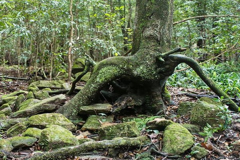 Full-Day Kiama Coast And The Royal National Park Guided Tour - Taree Accommodation 1