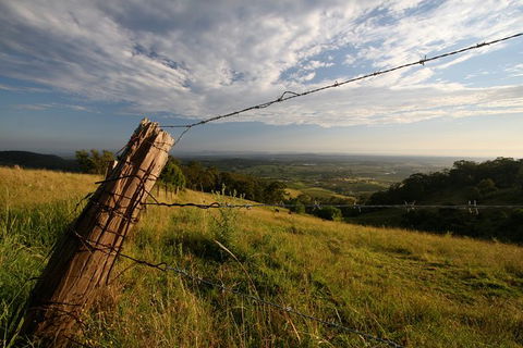 Private Full-Day Wine Tour In Hunter Valley - Taree Accommodation 3