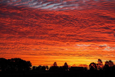 Private Full-Day Wine Tour In Hunter Valley - Taree Accommodation 0