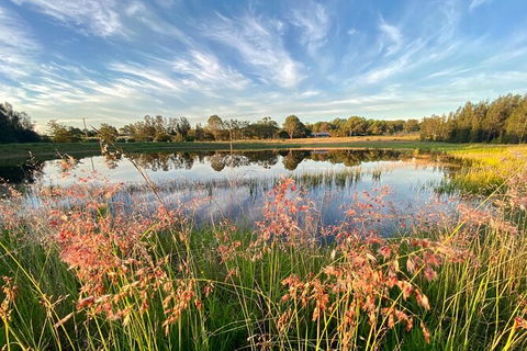 Private Full-Day Wine Tour In Hunter Valley - Taree Accommodation 5