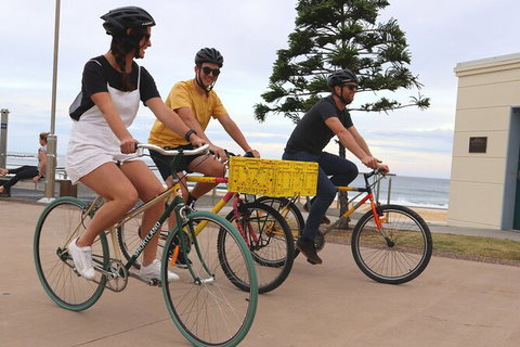 Newcastle Half-Day Bike Tour With Lunch - Taree Accommodation 0