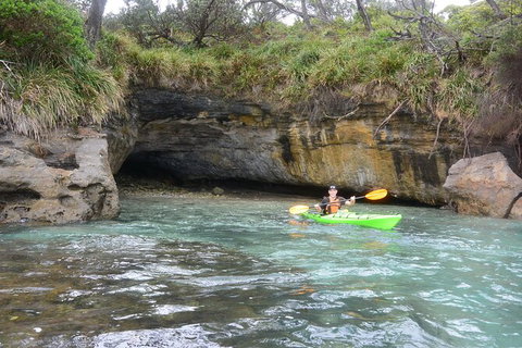 Half-Day Jervis Bay Sea Kayak Tour - Taree Accommodation 8