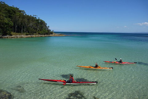 Half-Day Jervis Bay Sea Kayak Tour - Taree Accommodation 3