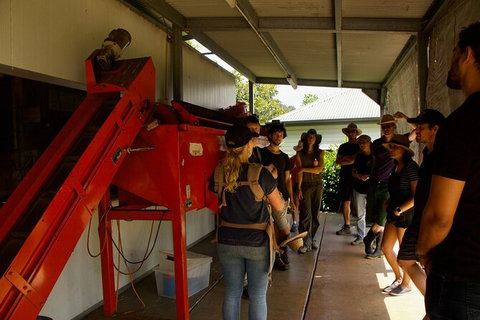 Pecan Farm Tour And Workshop, Byron Bay Hinterland - Taree Accommodation 4