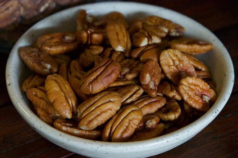 Pecan Farm Tour And Workshop, Byron Bay Hinterland - Taree Accommodation 5