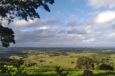 Pecan Farm Tour And Workshop, Byron Bay Hinterland - Taree Accommodation 1