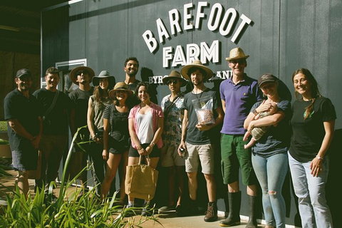 Pecan Farm Tour And Workshop, Byron Bay Hinterland - Taree Accommodation 0