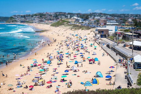 Newcastle Scenic Explorer - 2 Hour Tour By Minibus - Taree Accommodation 6