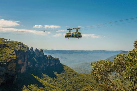 Blue Mountains Highlights, Wildlife Park And Scenic World Full Day Private Tour - Taree Accommodation 0