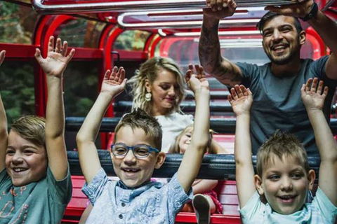 Blue Mountains Highlights, Wildlife Park And Scenic World Full Day Private Tour - Taree Accommodation 5