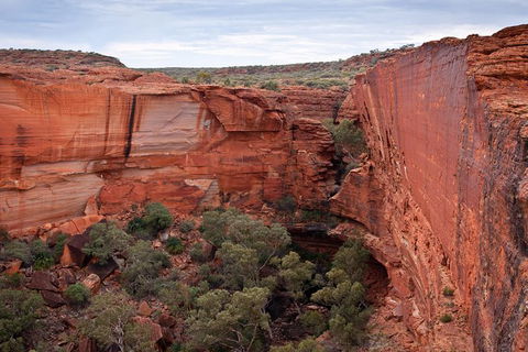 Uluru, Kata Tjuta And Kings Canyon Camping Safari From Alice Springs - Taree Accommodation 4