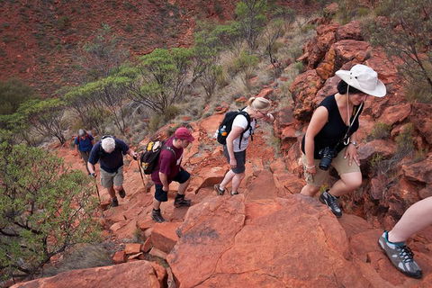 Uluru, Kata Tjuta And Kings Canyon Camping Safari From Alice Springs - Taree Accommodation 3