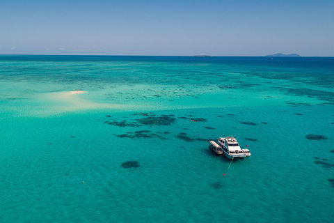 Great Barrier Reef Luxury Snorkel And Dive Cruise From Cairns - Taree Accommodation 5