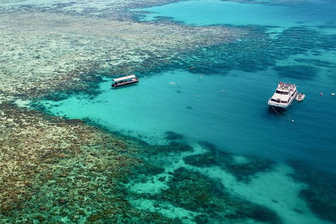 Great Barrier Reef Luxury Snorkel And Dive Cruise From Cairns - Taree Accommodation 4