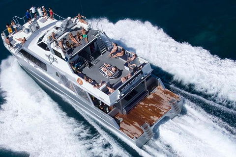 Great Barrier Reef Luxury Snorkel And Dive Cruise From Cairns - Taree Accommodation 0