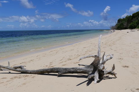 Green Island & Great Barrier Reef Sailing Cruise From Cairns - Only 25 Guests - Taree Accommodation 2