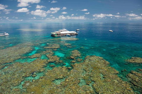 Great Barrier Reef Day Cruise From Cairns Including Snorkeling And Marine Biologist Presentation - Taree Accommodation 8