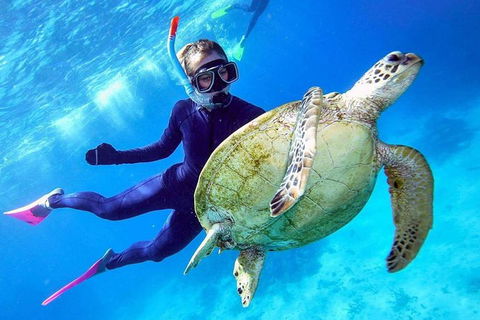 Great Barrier Reef Day Cruise From Cairns Including Snorkeling And Marine Biologist Presentation - Taree Accommodation 0
