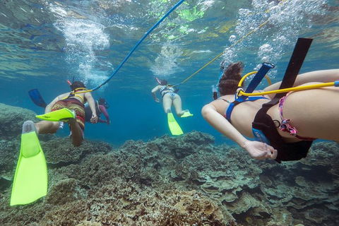 Great Barrier Reef Day Cruise From Cairns Including Snorkeling And Marine Biologist Presentation - Taree Accommodation 2