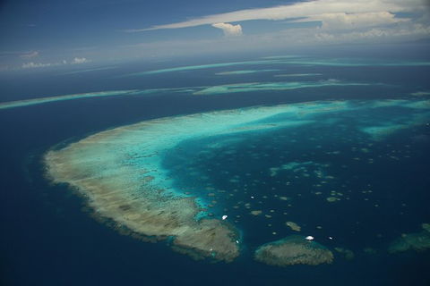 Great Barrier Reef Day Cruise From Cairns Including Snorkeling And Marine Biologist Presentation - Taree Accommodation 5