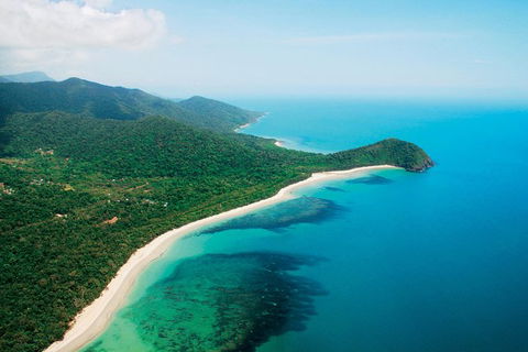 Cape Tribulation, Mossman Gorge, And Daintree Rainforest Premium Day Tour - Taree Accommodation 0