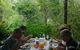 Cape Tribulation, Mossman Gorge, And Daintree Rainforest Premium Day Tour - thumb 9