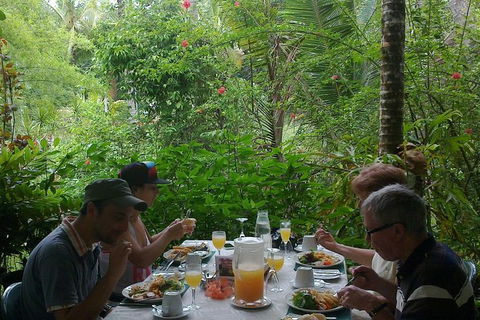 Cape Tribulation, Mossman Gorge, And Daintree Rainforest Premium Day Tour - Taree Accommodation 9
