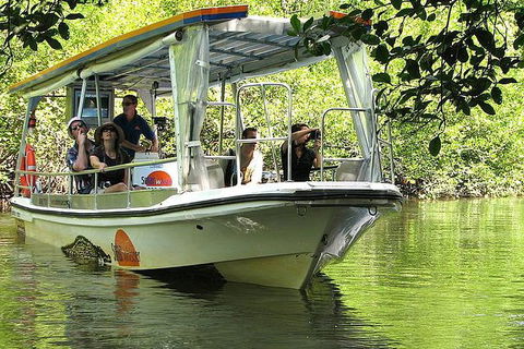 Cape Tribulation, Mossman Gorge, And Daintree Rainforest Premium Day Tour - Taree Accommodation 11