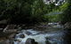 Cape Tribulation, Mossman Gorge, And Daintree Rainforest Premium Day Tour - thumb 10
