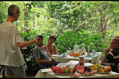 Cape Tribulation, Mossman Gorge, And Daintree Rainforest Premium Day Tour - Taree Accommodation 6