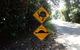 Cape Tribulation, Mossman Gorge, And Daintree Rainforest Premium Day Tour - thumb 14