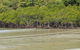 Cape Tribulation, Mossman Gorge, And Daintree Rainforest Premium Day Tour - thumb 4