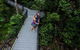 Cape Tribulation, Mossman Gorge, And Daintree Rainforest Premium Day Tour - thumb 12