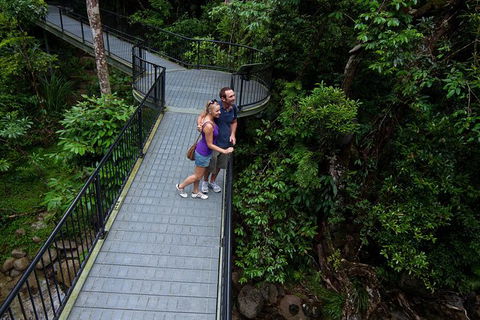 Cape Tribulation, Mossman Gorge, And Daintree Rainforest Premium Day Tour - Taree Accommodation 12