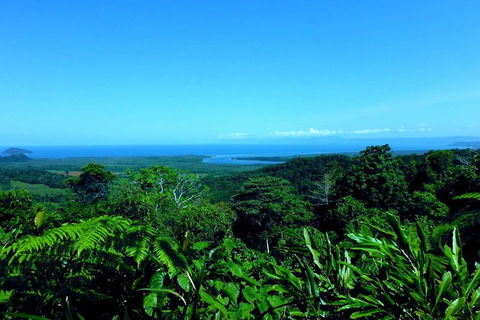 Cape Tribulation, Mossman Gorge, And Daintree Rainforest Premium Day Tour - Taree Accommodation 13
