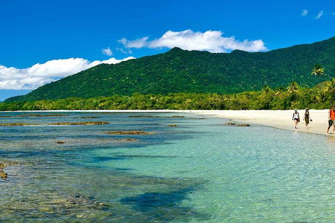 Cape Tribulation, Mossman Gorge, And Daintree Rainforest Premium Day Tour - Taree Accommodation 7