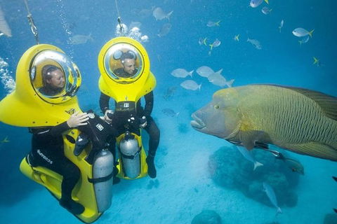 Great Barrier Reef Adventure From Cairns - Taree Accommodation 5