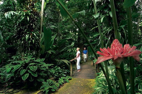 Cairns City Sights And Surrounds Tour - Taree Accommodation 6