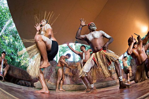 Cairns 2-Day Combo: Great Barrier Reef Cruise And Kuranda - Taree Accommodation 2