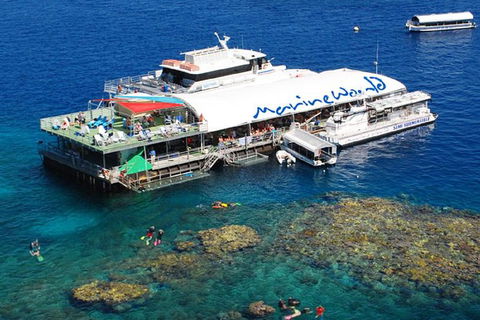 Cairns 2-Day Combo: Great Barrier Reef Cruise And Kuranda - Taree Accommodation 5