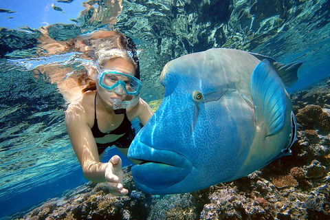 Cairns 2-Day Combo: Great Barrier Reef Cruise And Kuranda - Taree Accommodation 0