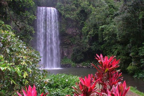 The Original Day Tour To Paronella Park, Lake Barrine And Millaa Millaa Falls - Taree Accommodation 0