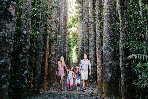 The Original Day Tour To Paronella Park, Lake Barrine And Millaa Millaa Falls - Taree Accommodation 14