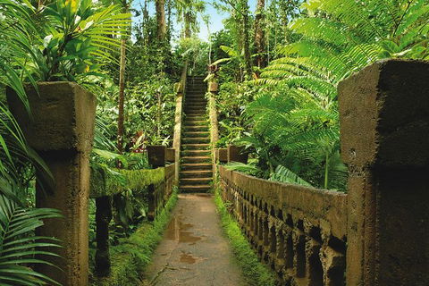 The Original Day Tour To Paronella Park, Lake Barrine And Millaa Millaa Falls - Taree Accommodation 1